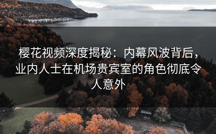 樱花视频深度揭秘：内幕风波背后，业内人士在机场贵宾室的角色彻底令人意外