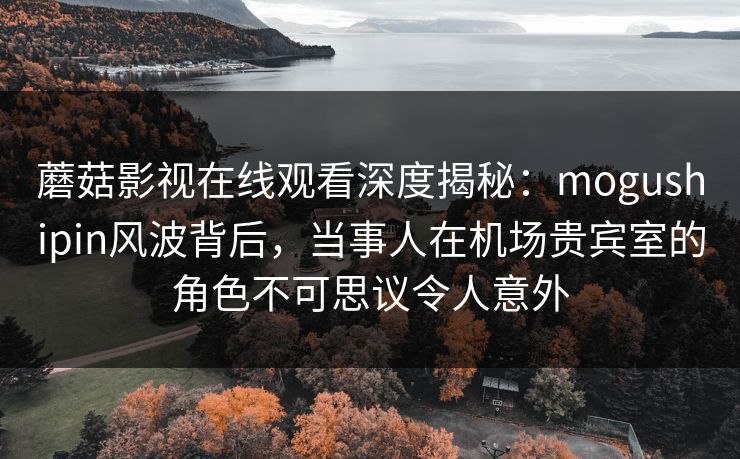 蘑菇影视在线观看深度揭秘：mogushipin风波背后，当事人在机场贵宾室的角色不可思议令人意外